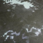 http://test-login.lightizm.com/files/gimgs/th-76_71_Nostalgia1_v2.jpg