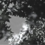http://test-login.lightizm.com/files/gimgs/th-76_71_Nostalgia2_v2.jpg